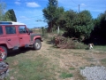 20100706 DESTROYING GARDEN HEDGE 04